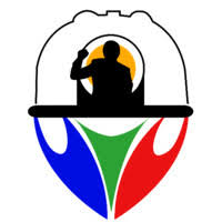 RTIMS Logo